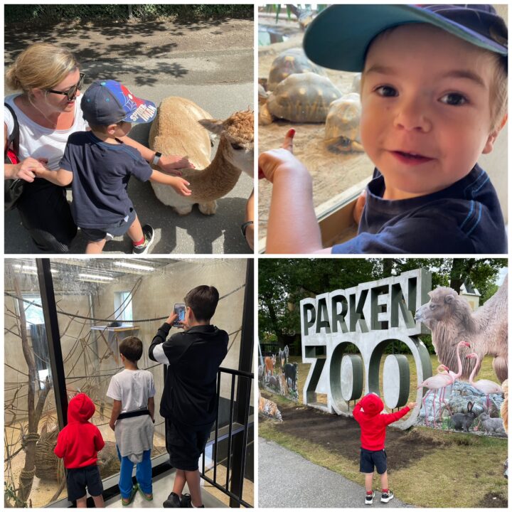 Parken Zoo